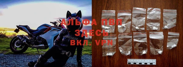 ГАЛЛЮЦИНОГЕННЫЕ ГРИБЫ Лагань
